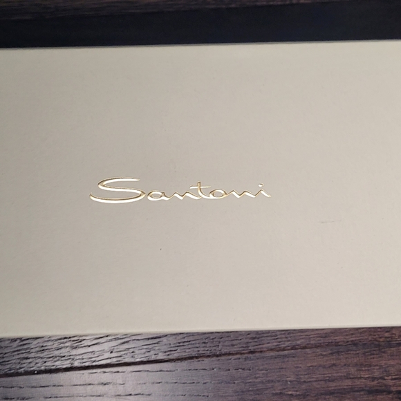 Santoni double monk size 11.5 NWT - Picture 2 of 12